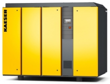 Винтовой компрессор Kaeser DSG 290-2 6